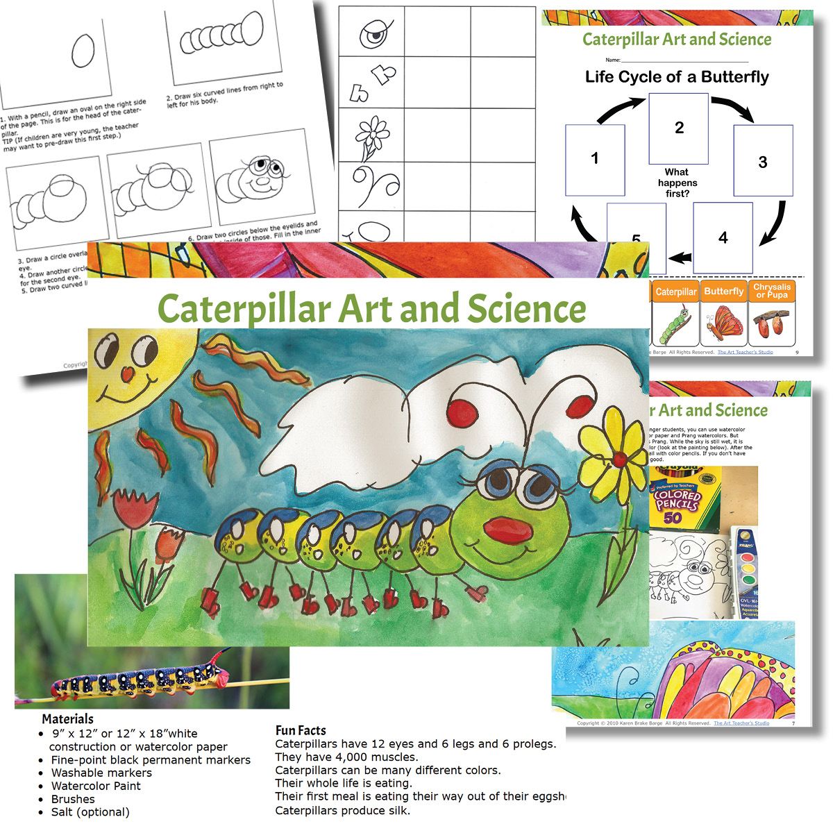 caterpillar art lesson