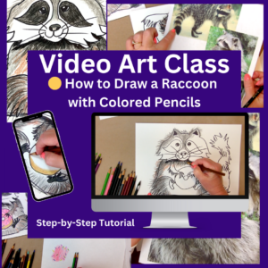 How to Draw a Raccoon with Colored Pencils